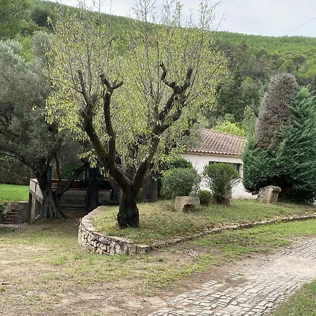 La Vinya De Mas Pujol Villa Suria Exterior photo