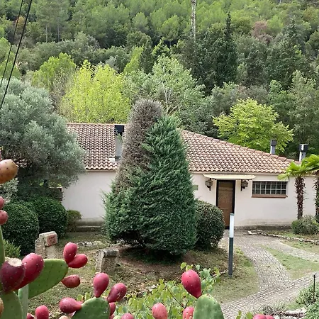 La Vinya De Mas Pujol Villa Suria Exterior photo
